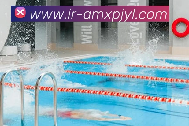 新葡京娱乐服务体系